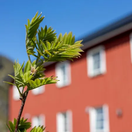 Villa Havgapet - Private Luxury In The Heart Of Lofoten