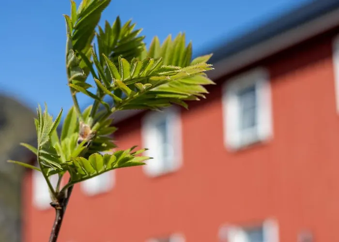 Villa Havgapet - Large Private With Hottub Sea View Lofoten